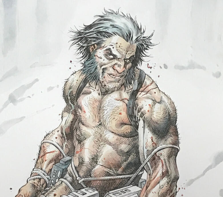 Wolverine - personal work